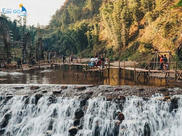 Lao Chải mùa lúa chín vàng