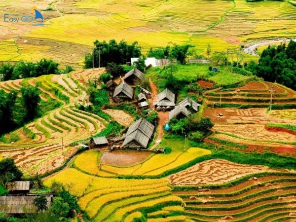 Mùa thu Sapa - mùa của những cánh đồng lúa chín