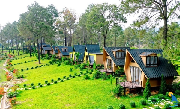 Resort Mộc Châu được lựa chọn bởi du khách thích sự riêng tư với dịch vụ và tiện nghi cao cấp