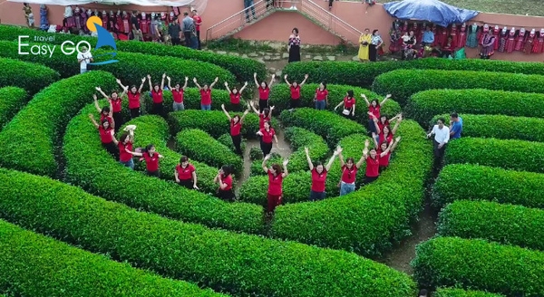 Đi Mộc Châu theo tour vô cùng đơn giản và thuận tiện