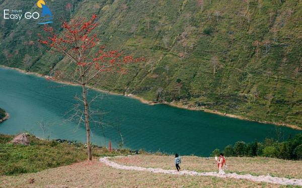 Kinh nghiệm du lịch Hà Giang tự túc chi tiết từ A-Z