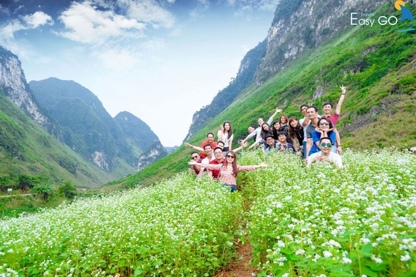 Kinh nghiệm du lịch Hà Giang tháng 9 - Tour du lịch Hà Giang Easy Go Travel