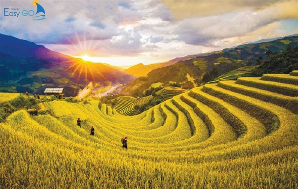 Kinh nghiệm du lịch Hà Giang tháng 9 - Hoàng Su Phì