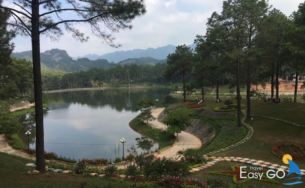 Đến rừng thông Bản Áng đem lại cho bạn cảm giác yên bình đến kì lạ