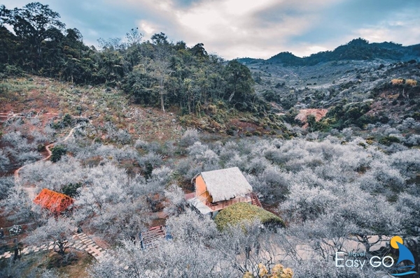 Vẻ đẹp của thung lũng Mu Náu như đưa bạn vào thế giới cổ tích