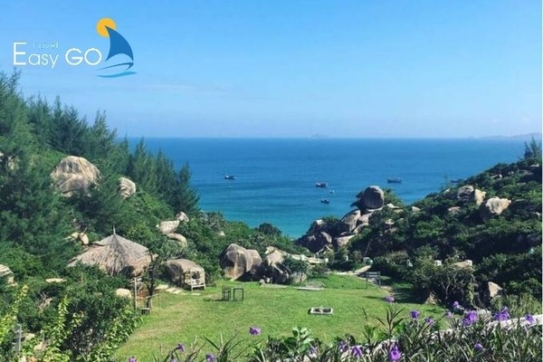 Đi dạo ngắm nhìn rừng thông