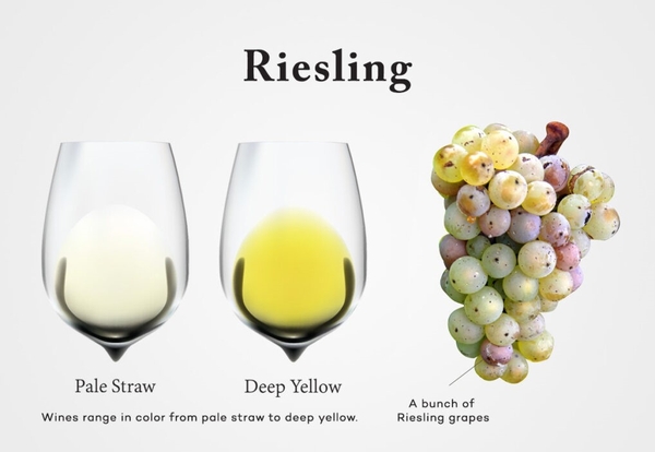 Riesling giống nho tuyệt vời để thưởng thức mùa hè.