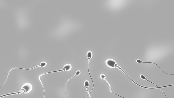 Đàn Ông Có Thể Hết Tinh Trùng Không? Chuyên Gia Giải Đáp Rõ Ràng