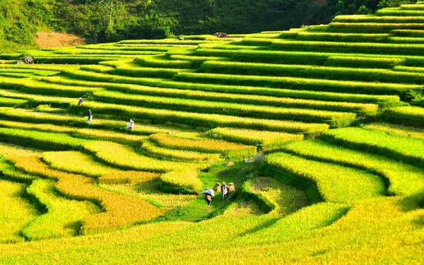 Pù Luông Retreat Resort