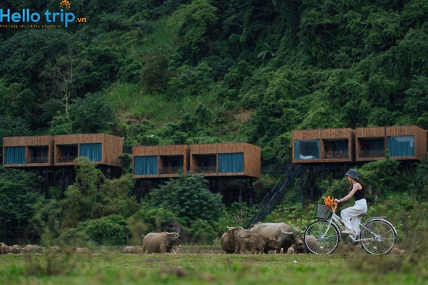 Tú Làn Lodge Phong Nha Quảng Bình