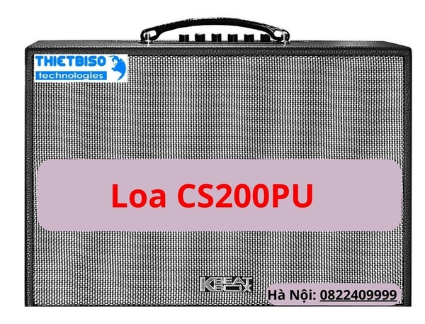 Loa ACNOS CS200PU