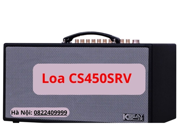 Loa ACNOS CS450SRV