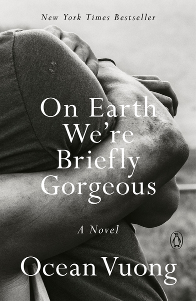 On Earth We're Briefly Gorgeous : A Novel