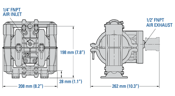 Kích thước của bơm Wilden P1/SSPPP/TNU/TF/STF