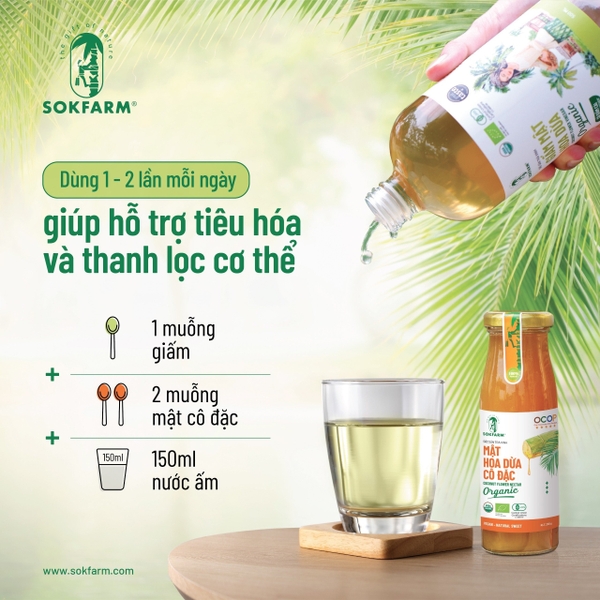 Giấm mật hoa dừa