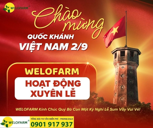 📣 THÔNG BÁO LỊCH HOẠT ĐỘNG DỊP LỄ QUỐC KHÁNH 02/09