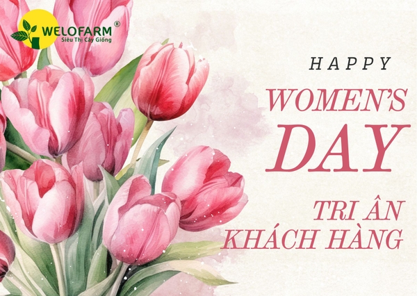 🌷 Chương Trình Tri Ân Khách Hàng Nhân Ngày Phụ Nữ Việt Nam 20/10 🎁