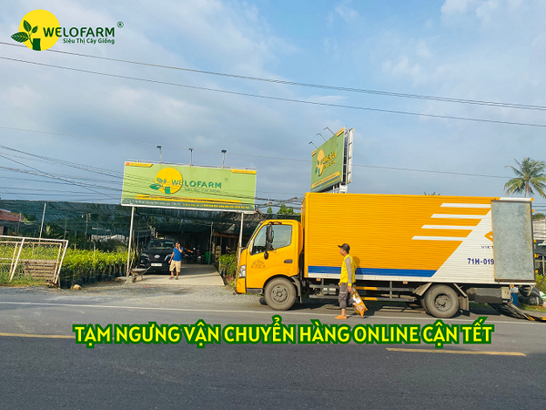 📢 📢  THÔNG BÁO LỊCH TẠM NGƯNG VẬN CHUYỂN HÀNG ONLINE CẬN TẾT