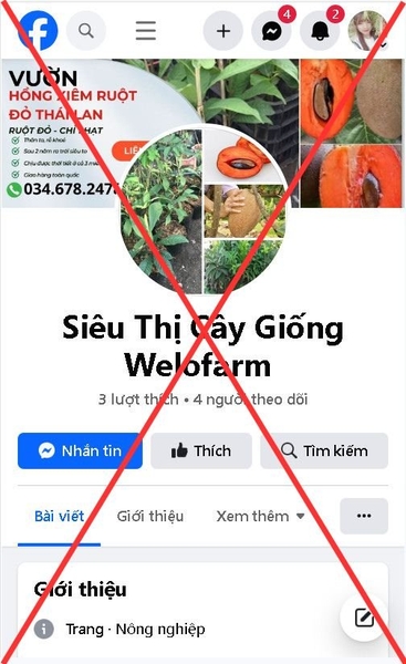 ❌ Cảnh Báo Lừa Đảo Mạo Danh SIÊU THỊ CÂY GIỐNG WELOFARM ❌