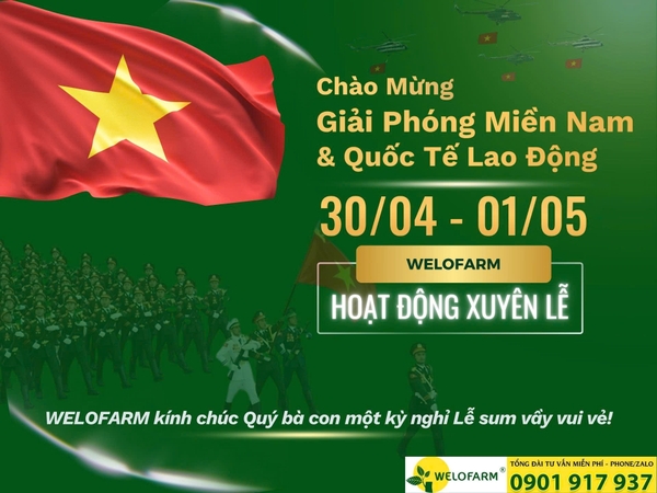 THÔNG BÁO LỊCH HOẠT ĐỘNG LỄ 30/4 – 1/5