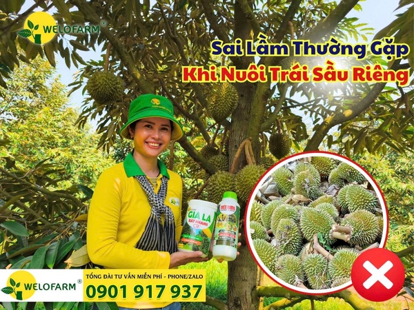 ⚠ SAI LẦM THƯỜNG GẶP KHI NUÔI TRÁI SẦU RIÊNG