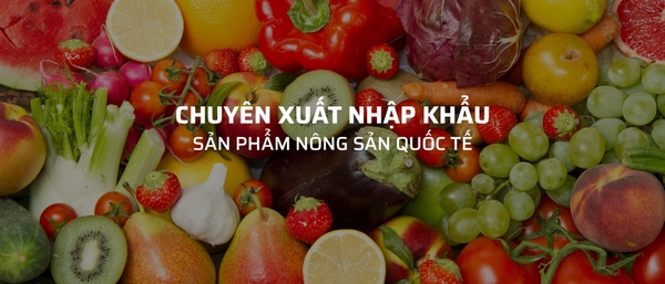 Công ty TNHH Xuất nhập khẩu VẠN ĐẠI PHÁT VN