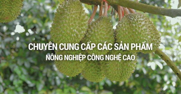 Công ty TNHH Xuất nhập khẩu VẠN ĐẠI PHÁT VN