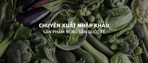 Công ty TNHH Xuất nhập khẩu VẠN ĐẠI PHÁT VN