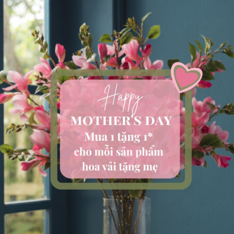 HOA VẢI KHLORIS - MÓN QUÀ MẸ BẠN CHẮC CHẮN SẼ RẤT THÍCH