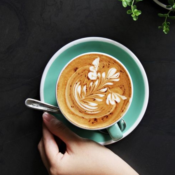 Ly sứ ACME Espresso Range Cappuccino Cup Feijoa (Green) 190ml - THAI SA ...