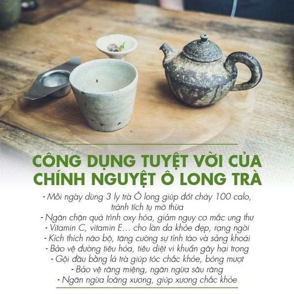 Dotea - Chính nguyệt olong trà L363 - 500g