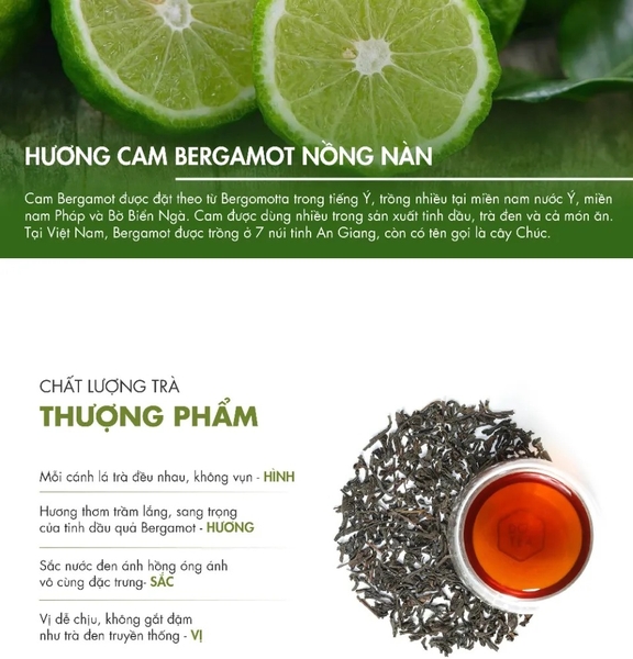 Dotea - Trà đen bá tước B252 - 500g