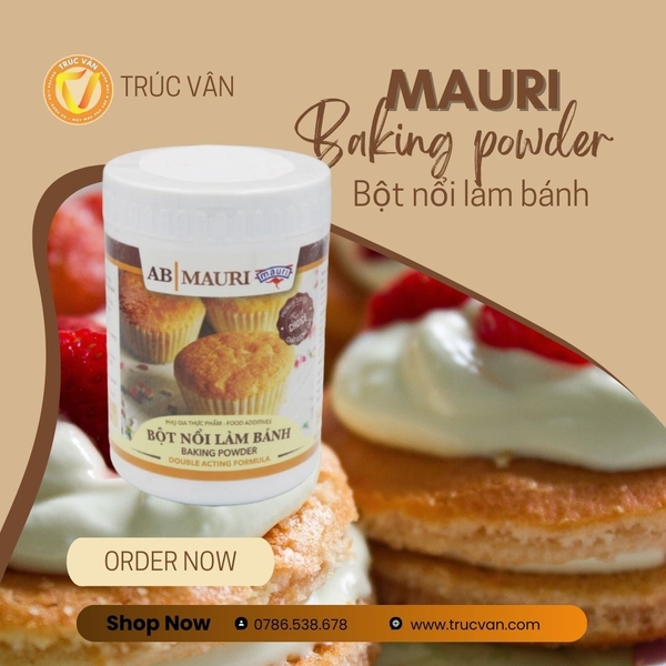 Bột Nổi Mauri 1kg