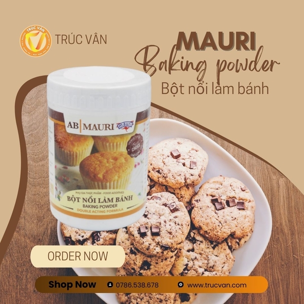 Bột Nổi Mauri 1kg