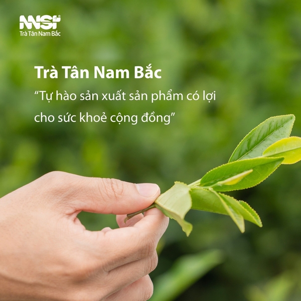Trà đen đặc biệt Tân Nam Bắc 500g