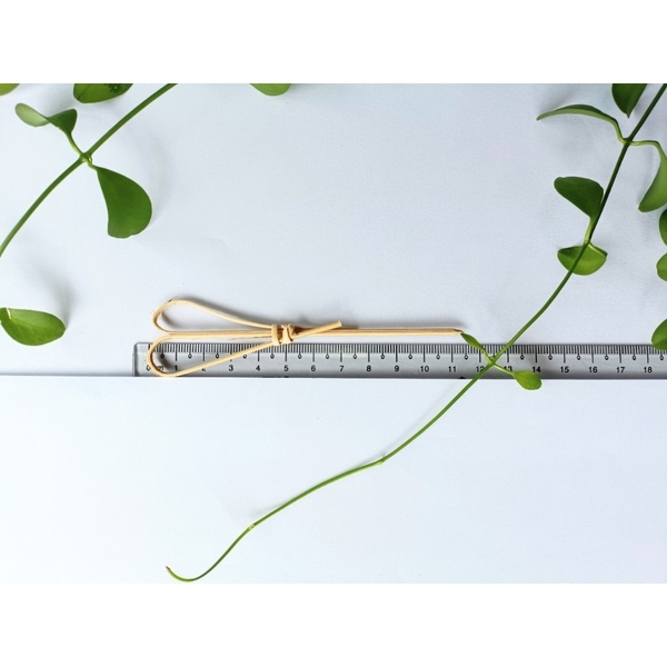 Tăm tre xiên trái cây trái tim màu tự nhiên 100 chiếc, 12cm