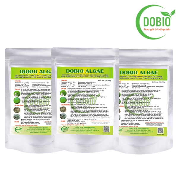 DOBIO ALGAE - Men vi sinh kiểm soát và diệt cắt tảo lam hiệu quả