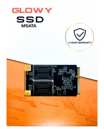 SSD GOLWAY 256GB MSATA (KO VAT)