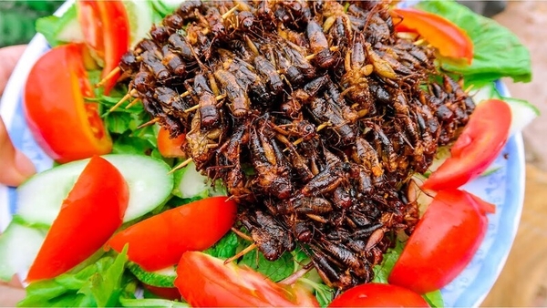 Top đặc sản Đồng Nai - Ngon nức lòng du khách
