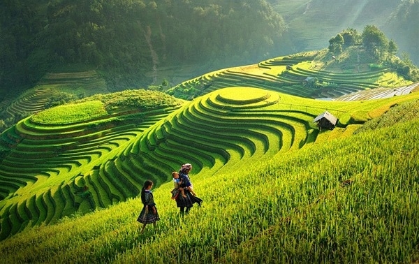Việt Nam là điểm đến hấp dẫn với chi phí thấp