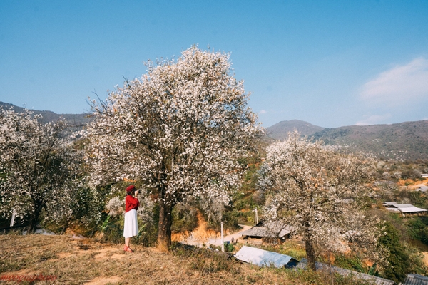 Bản đồ Du Lịch Mộc Châu