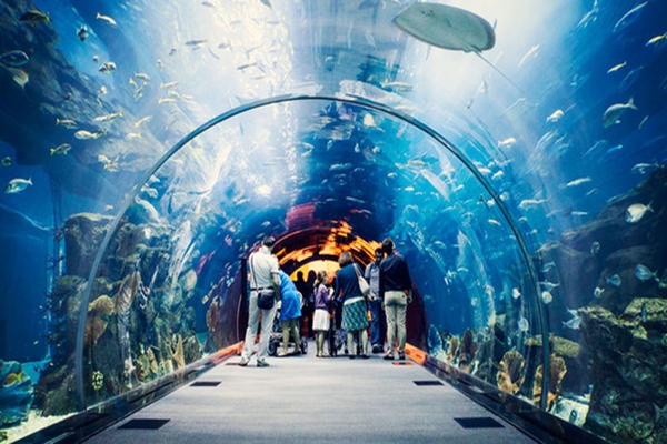 5 điểm du lịch hấp dẫn nhất bạn nên đến vào dịp nghỉ hè