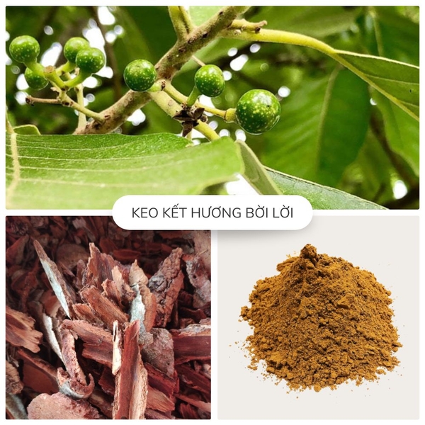 keo bời lời