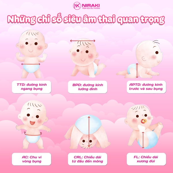 Các chỉ số siêu âm thai quan trọng mẹ cần biết Các chỉ số siêu âm thai quan trọng mẹ cần biết