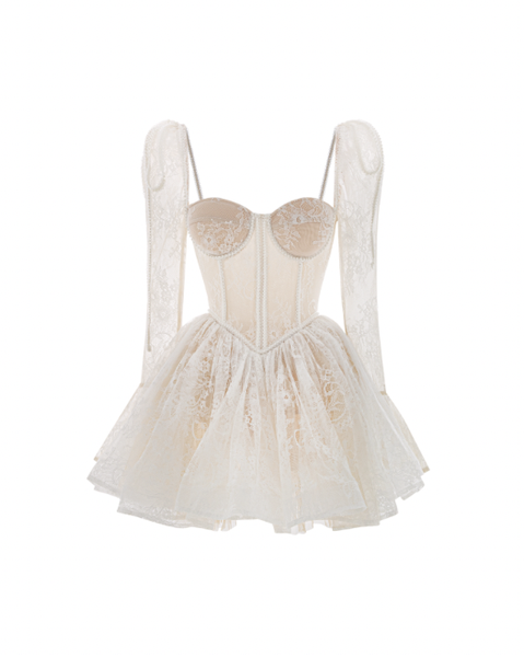 Clover Lacey Corset Mini Dress