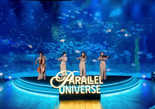 Tổ Chức Year End Party Tại Thủy Cung Lotte World Aquarium Hà Nội