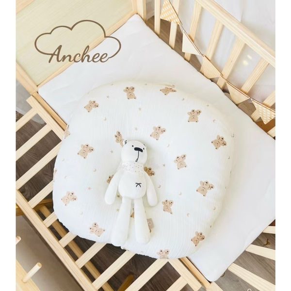 Gối chống trào anchee