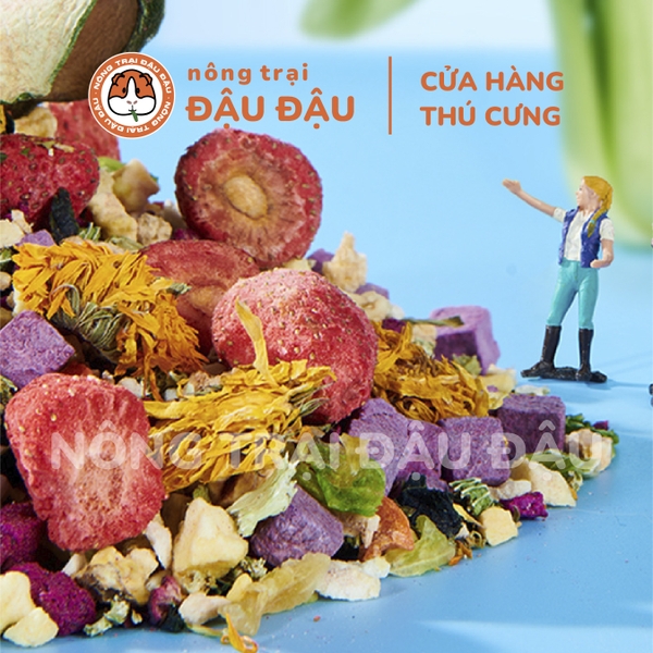 Trái Cây Rau Củ Sấy Lạnh Yee Cho Thỏ Ăn Vặt Cho Thỏ Giàu VItamim Hộp 55g