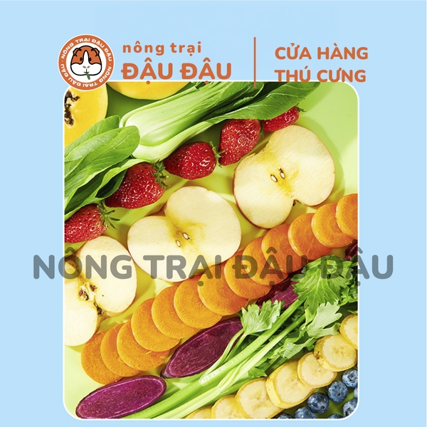 Trái Cây Rau Củ Sấy Lạnh Yee Cho Thỏ Ăn Vặt Cho Thỏ Giàu VItamim Hộp 55g