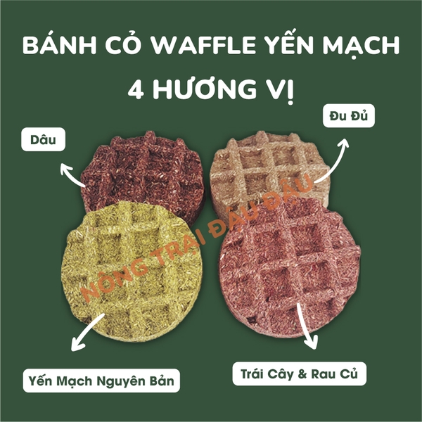 Bánh Cỏ Yến Mạch Waffle Vị Trái Cây Cho Thỏ, Bọ Ú, Chinchilla Ăn Vặt Mài Răng